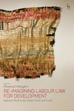 Re-Imagining Labour Law for Development