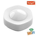 Bakery PIR WIFI Human Infrared Sensor Automatic Activate Lights Infrared For Alarm Home Security