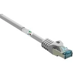 Síťový kabel RJ45 Basetech BT-1715470, CAT 6A, S/FTP, 30.00 m, šedá