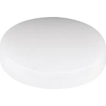 Světelná krytka pro reflektor Mentor, 2451.0200, 18 mm, (Ø x v) 19.1 mm x 3 mm, červená