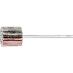 Vějířová bruska NA KŮŇ PFERD 44400046 Průměr 15 mm