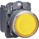 Světelné tlačítko Schneider Electric XB5AW35B5, 600 V, 6 A, tmavě šedá , žlutá, 1 ks