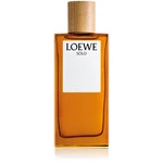 Loewe Solo toaletní voda pro muže 100 ml