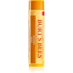 Burt’s Bees Lip Care balzám na rty s medem (with Honey & Vitamin E) 4,25 g