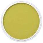 PanPastel 9ml – 220.3 Hansa Yellow Shade