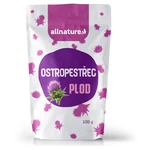 ALLNATURE Ostropestřec plod 100 g