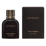 DOLCE & GABBANA Pour Homme Intenso Parfémovaná voda 40 ml