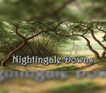 Nightingale Downs Steam CD Key