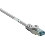 Basetech BT-2270608 RJ45 sieťové káble, prepojovacie káble CAT 6A S/FTP 30.00 m sivá s ochranou, samozhášavý 1 ks