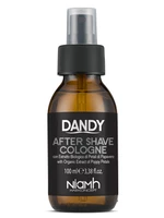 Sprej pro ošetření pokožky po holení Dandy After Shave Cologne - 100 ml (1195) + dárek zdarma