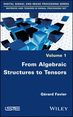 From Algebraic Structures to Tensors