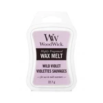 WoodWick Wild Violet 22,7 g vonný vosk unisex