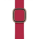 Apple Watch 40mm Raspberry Modern Buckle - Small