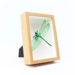 A4/6/8/10 inch 3D Hollow Photo Frame Wood Butterfly Dragonfly Dry Flower Frame Home Office Desktop Ornament Gift Supplie
