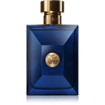 Versace Dylan Blue Pour Homme toaletná voda pre mužov 100 ml