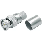 Telegärtner J01000A0060 J01000A0060 BNC konektor zástrčka, rovná 50 Ω 1 ks