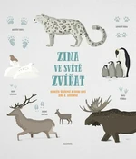 Zima ve světě zvířat - Markéta Špačková, Irena Kocí