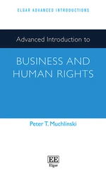 Advanced Introduction to Business and Human Rights