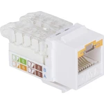 Intellinet 790772 zabudovaný modul RJ45 Keystone CAT 3, CAT 4, CAT 5, CAT 5e, CAT 6, CAT 6A