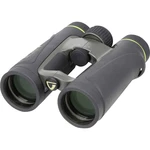 Vanguard ďalekohľad  8 xx42 mm Dachkant čierna ENDEAVOREDIV8X42