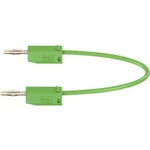 Stäubli LK205 měřicí kabel [lamelová zástrčka 2 mm - lamelová zástrčka 2 mm] zelená, 30.00 cm