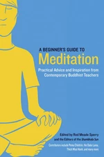 A Beginner's Guide to Meditation