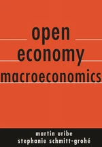 Open Economy Macroeconomics