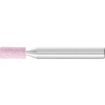 BRUSNÉ tělísko PFERD 31109250 Průměr 6 mm