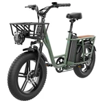 [US Direct] FIIDO T1 48V 20AH 750W 20*4.0in Electric Bicycle 150 KM Mileage 150 KG Payload Mechanical Disc Brake Electri