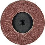 PFERD 47202091 Klapkový kotúč PFERD Priemer 75 mm   10 ks