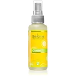 Saloos Osvěžovač Vzduchu Citron bytový sprej 50 ml