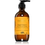 Antipodes Gospel Vitamin C Skin-Glow Gel Cleanser rozjasňujúci čistiaci gel s vitamínom C 200 ml Antipodes Gospel Vitamin C Skin-Glow Gel Cleanser rozjasňujúci čistiaci gel s vitamínom C 200 ml