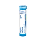 Boiron CARDUUS MARIANUS CH9 granule 4 g