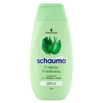 SCHAUMA 7 Herbs Freshness šampón 250 ml