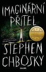 Imaginární přítel (Defekt) - Stephen Chbosky