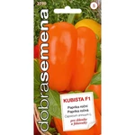 Paprika KUBISTA F1 (DS)