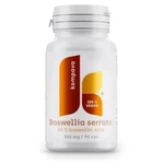 KOMPAVA Boswellia serrata 305 mg 90 kapslí