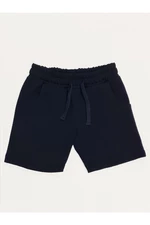 Denokids Basic Boys' Navy Blue Shorts