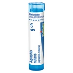 BOIRON Agraphis nutans 9CH 4g