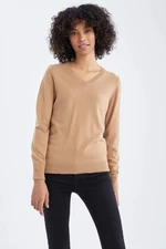 DEFACTO Regular Fit V-neck Pullover