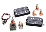 Seymour Duncan AHB-10s Blackouts Coil Pack System Humbucker