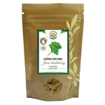 SALVIA PARADISE Ginkgo biloba mletý list 120 g