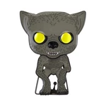 Funko POP Pin: Harry Potter - Remus Lupin