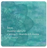 Korkový podtácek s citátem Štěstí musíme zachytit - Sri Chinmoy