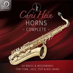 Best Service Chris Hein Horns Pro Complete (Produit numérique)