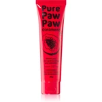 Pure Paw Paw Ointment balzam na pery a suché miesta 25 g