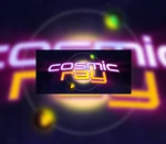 Cosmic Ray Steam CD Key