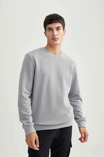DEFACTO Regular Fit Sweatshirt