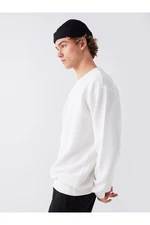 LC Waikiki Crew Neck Long Sleeve Men's Sweatshirt