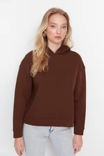 Trendyol Brown Regular/Normal Wear Basic with a Hooded Fleece Inside Knitted Sweatshirt